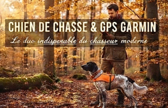 Chien de chasse et GPS Garmin : l'duo indispensable du chasseur moderne