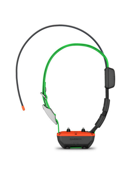 Collier de repérage et dressage TT25™ Garmin
