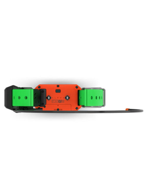 Collier de repérage et dressage TT25™ Garmin