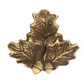 FEUILLE DE CHÊNE  TROPHÉES